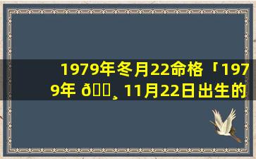 1979年冬月22命格「1979年 🌸 11月22日出生的 🍀 人农历」